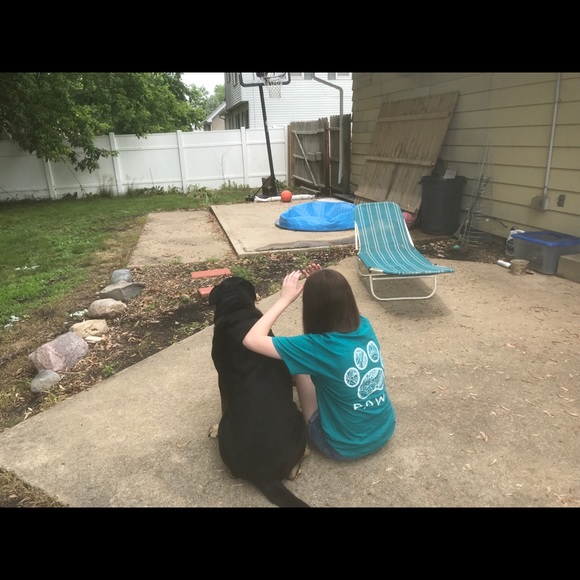 Meet your Posher, Tabby - Picture 1 of 1